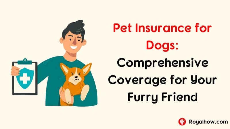 Pet-Insurance-for-Dogs