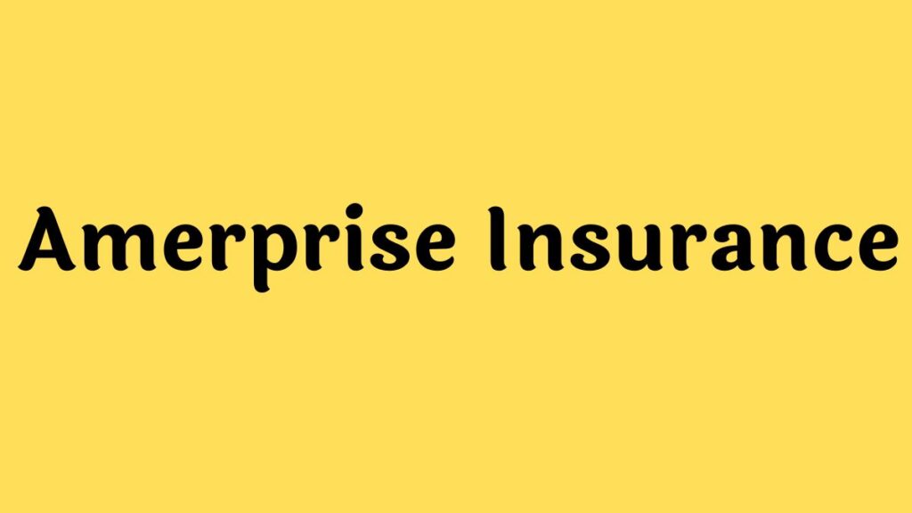 Amerprise Insurance